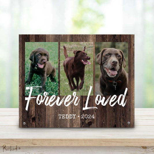 Forever Loved Pet Photo Memorial - Personalized Metal Photo Plaque