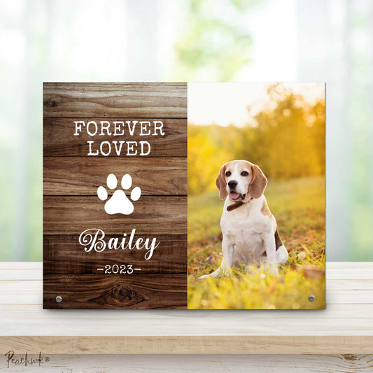 Memorial Paw Print Gift - Personalized Metal Photo Plaque